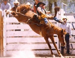 College Rodeo 1984
